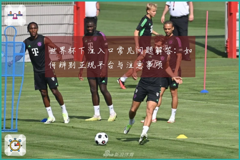 世界杯下注入口常见问题解答：如何辨别正规平台与注意事项