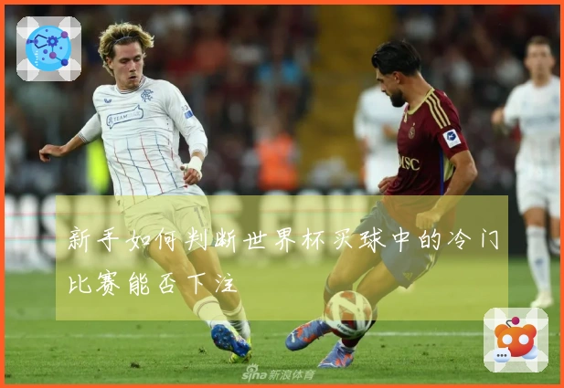 新手如何判断世界杯买球中的冷门比赛能否下注