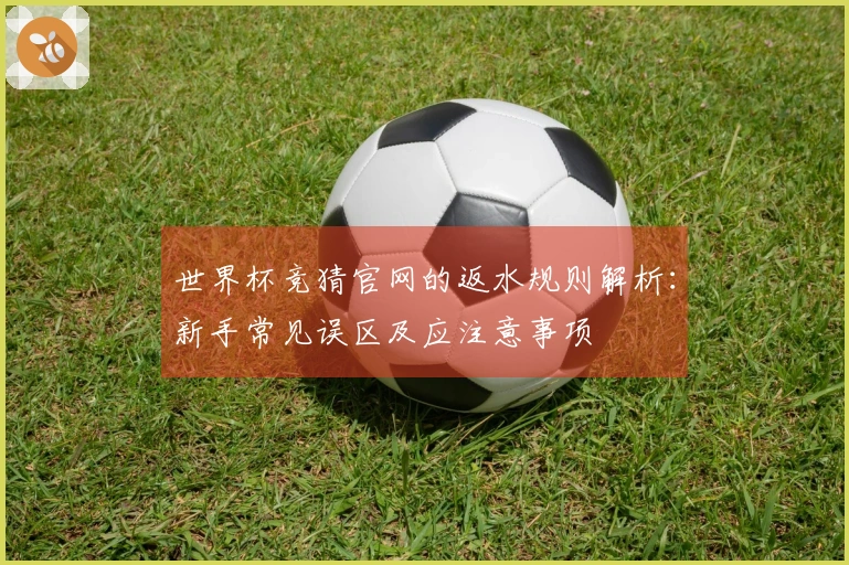世界杯竞猜官网的返水规则解析：新手常见误区及应注意事项