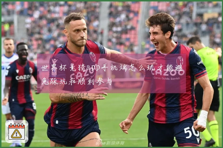 世界杯竞猜app手机端怎么玩才能避免踩坑和顺利参与