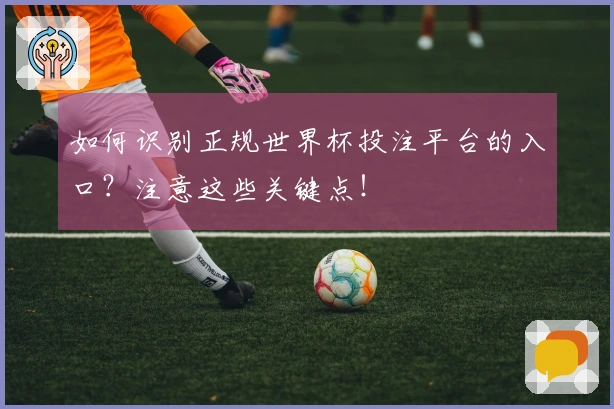 如何识别正规世界杯投注平台的入口？注意这些关键点！