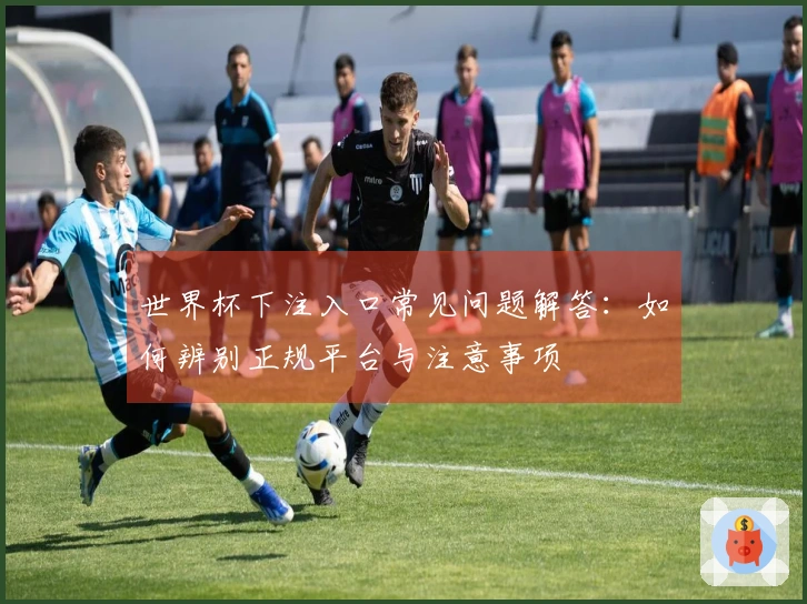 世界杯下注入口常见问题解答：如何辨别正规平台与注意事项