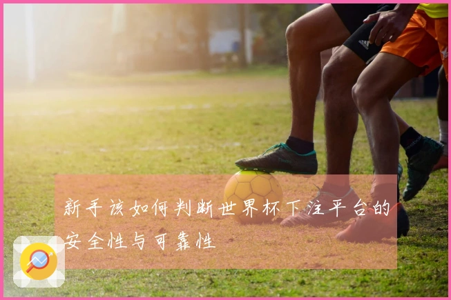 新手该如何判断世界杯下注平台的安全性与可靠性