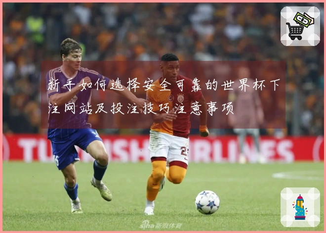 新手如何选择安全可靠的世界杯下注网站及投注技巧注意事项