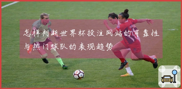 怎样判断世界杯投注网站的可靠性与热门球队的表现趋势
