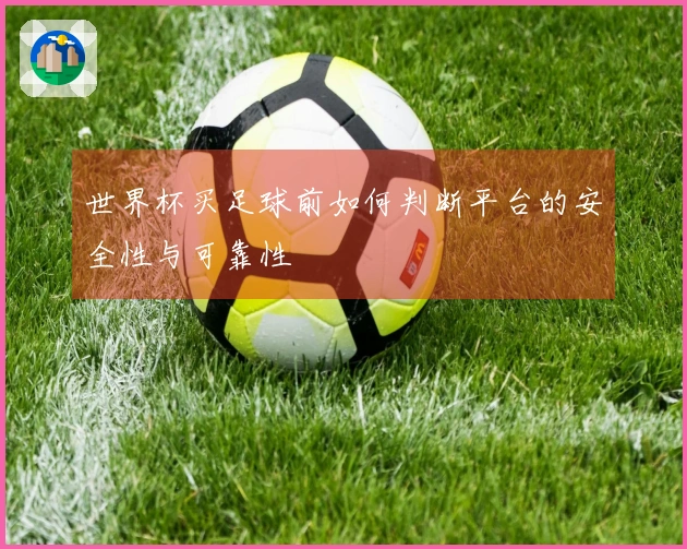 世界杯买足球前如何判断平台的安全性与可靠性
