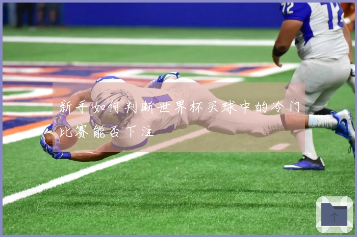 新手如何判断世界杯买球中的冷门比赛能否下注