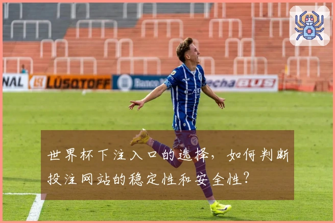 世界杯下注入口的选择，如何判断投注网站的稳定性和安全性？