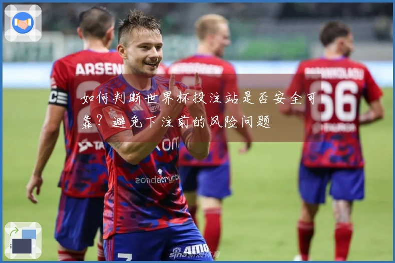 如何判断世界杯投注站是否安全可靠？避免下注前的风险问题