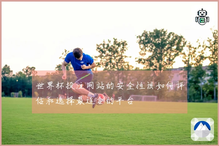 世界杯投注网站的安全性该如何评估和选择最适合的平台