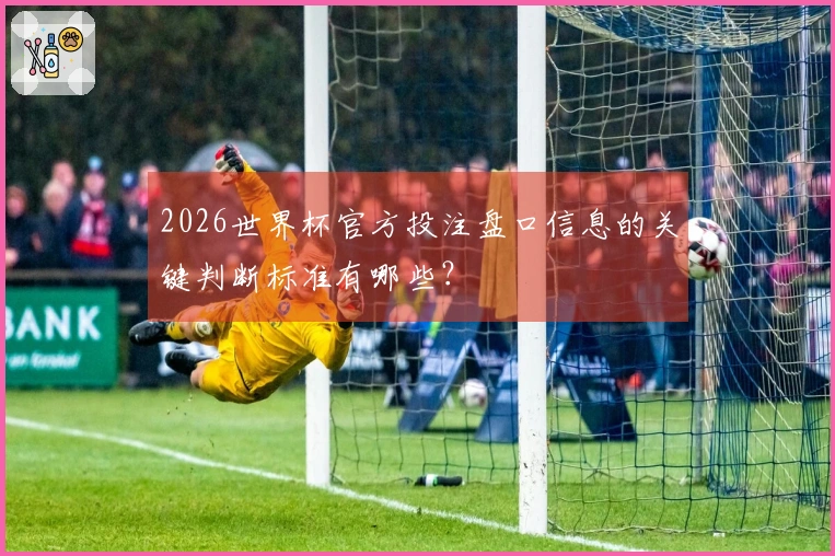 2026世界杯官方投注盘口信息的关键判断标准有哪些？