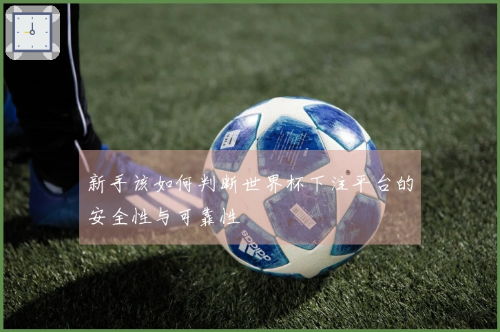 新手该如何判断世界杯下注平台的安全性与可靠性