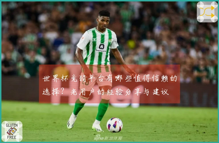 世界杯竞猜平台有哪些值得信赖的选择？老用户的经验分享与建议