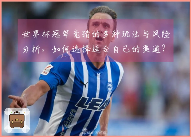 世界杯冠军竞猜的多种玩法与风险分析，如何选择适合自己的渠道？