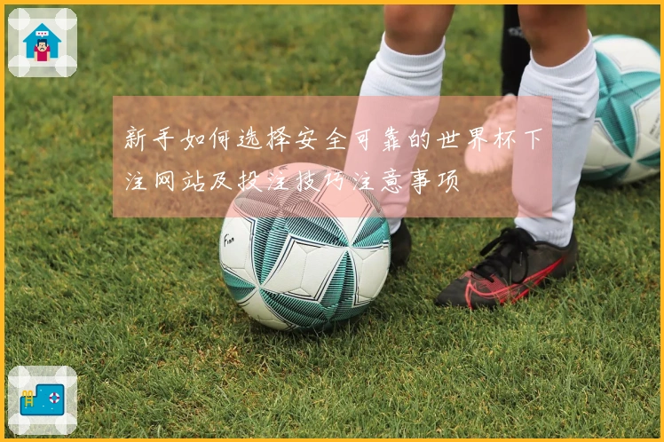 新手如何选择安全可靠的世界杯下注网站及投注技巧注意事项
