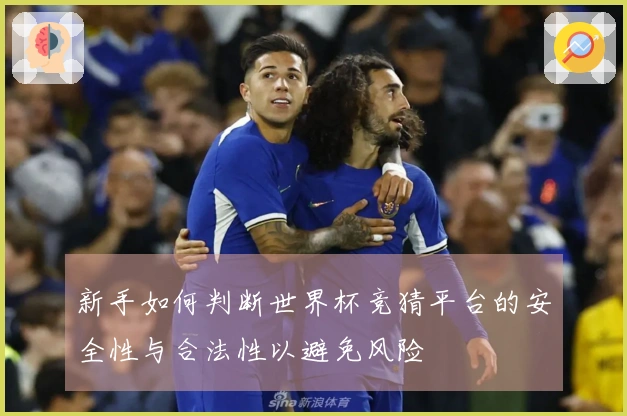 新手如何判断世界杯竞猜平台的安全性与合法性以避免风险