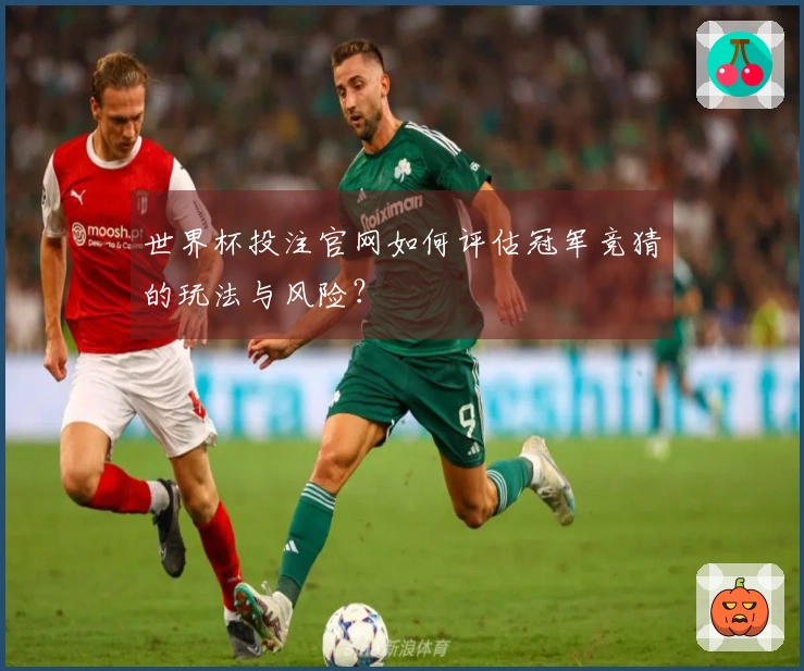 世界杯投注官网如何评估冠军竞猜的玩法与风险？