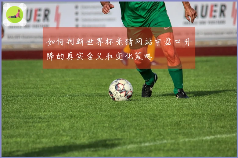 如何判断世界杯竞猜网站中盘口升降的真实含义和变化策略