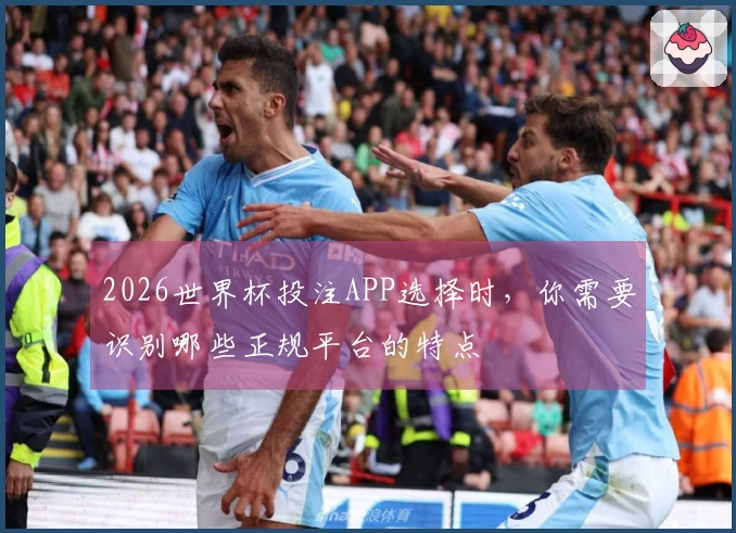 2026世界杯投注APP选择时，你需要识别哪些正规平台的特点