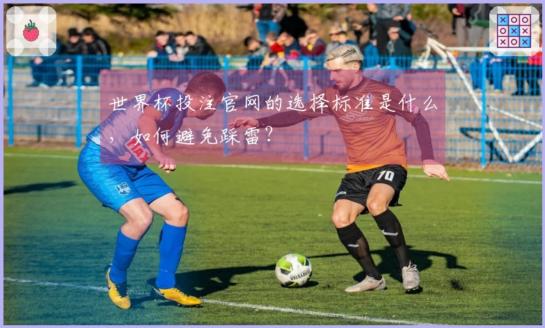 世界杯投注官网的选择标准是什么，如何避免踩雷？