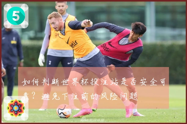 如何判断世界杯投注站是否安全可靠?避免下注前的风险问题