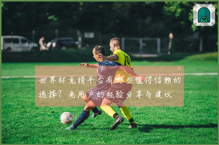 世界杯竞猜平台有哪些值得信赖的选择？老用户的经验分享与建议