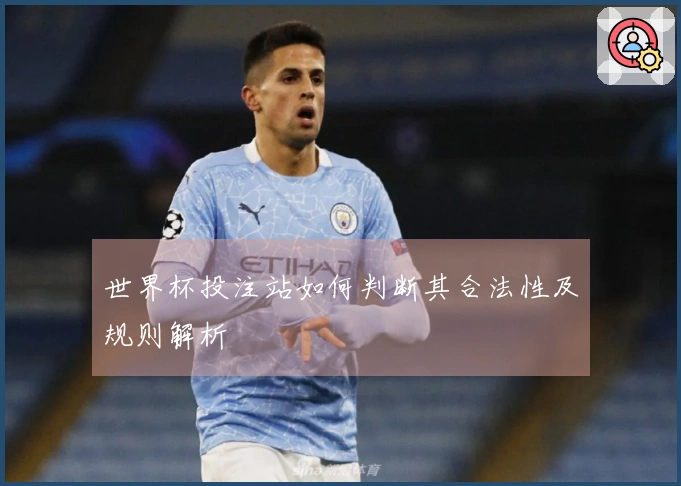 世界杯投注站如何判断其合法性及规则解析