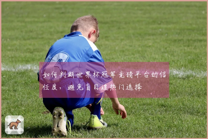 如何判断世界杯冠军竞猜平台的信任度，避免盲目追热门选择