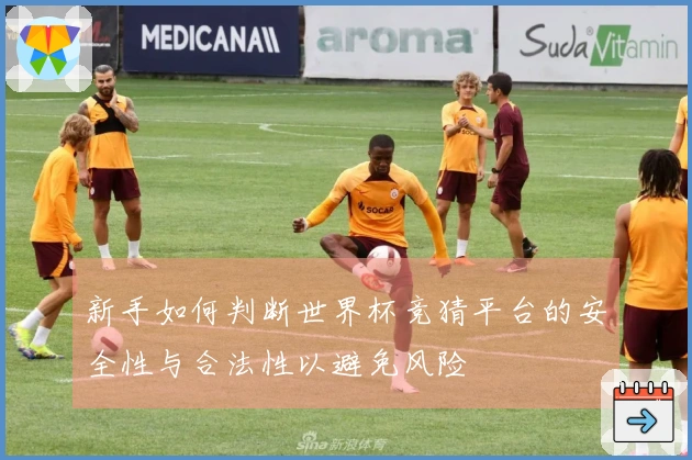 新手如何判断世界杯竞猜平台的安全性与合法性以避免风险