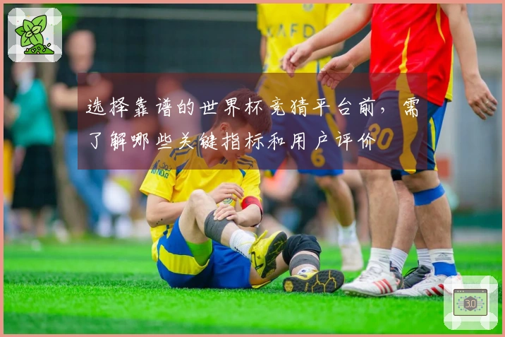 选择靠谱的世界杯竞猜平台前，需了解哪些关键指标和用户评价