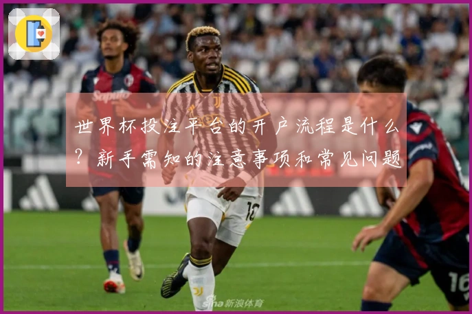 世界杯投注平台的开户流程是什么？新手需知的注意事项和常见问题分析